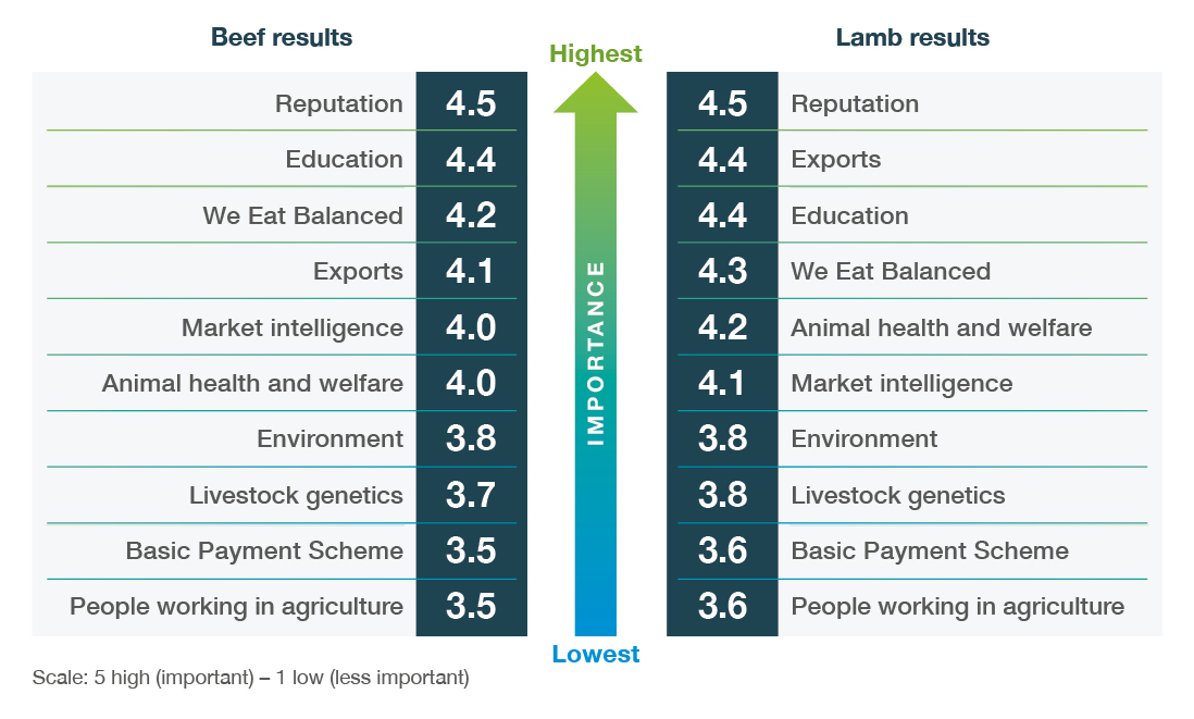 Table showing shape the future results for beef and lamb sector.